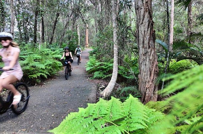 Premium Noosa Hinterland Drinks Tour & Tasting Experience