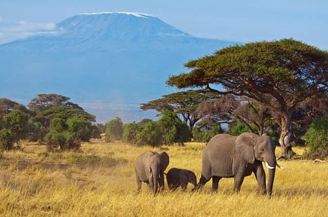Amboseli National Park Group Joining Day Trip