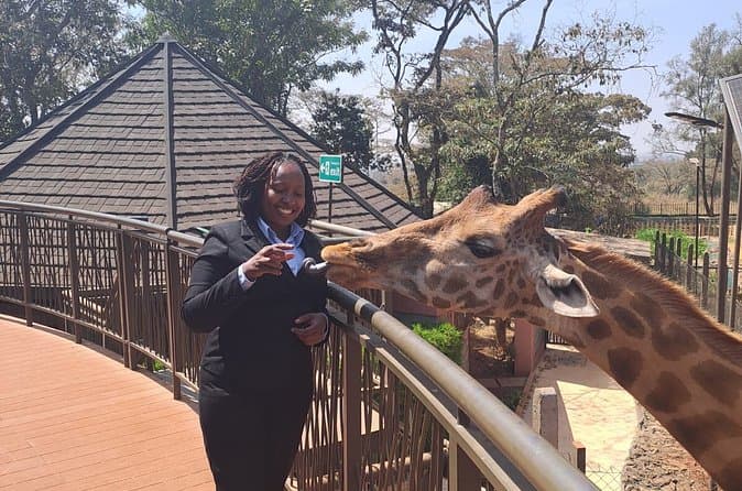 Compare Top Nairobi Car Rentals
