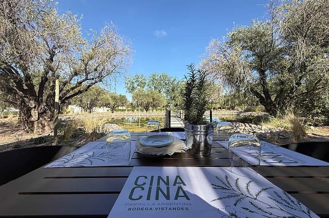 Wine Tour, Paired Lunch and Olive Oil Tasting from Mendoza