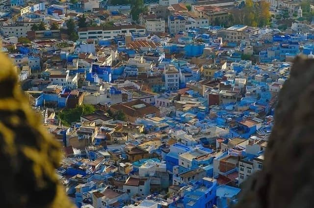 12 Days from Casablanca