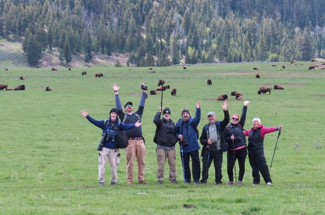 Lamar Valley Safari Hiking Tour with Lunch
