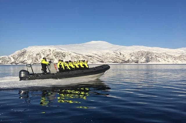 Wildlife and Photography Safari by RIB boat in Henningsvaer