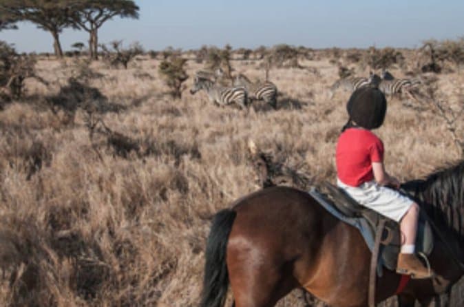 Compare Top Aquila Safari Experiences