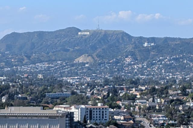 Los Angeles Walking Tour at Little Tokyo Murals and Skyline
