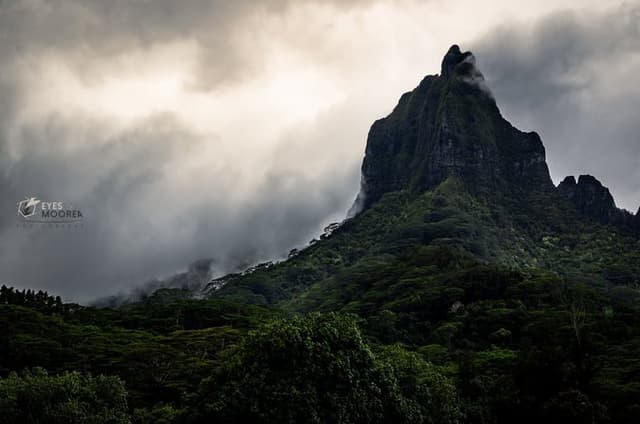 Exclusive discovery and photo tour in Moorea