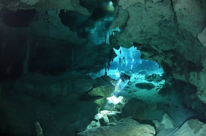 Unforgettable Cenote Diving Adventures in Playa del Carmen