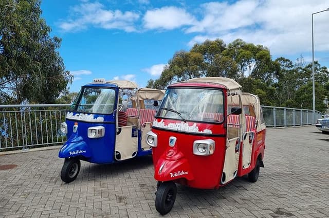 Private 5-Hour Madeira Highlights Tuk Tuk Tour