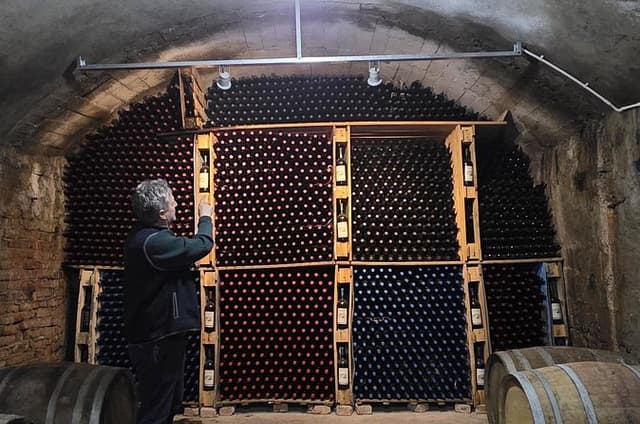 Përmet: Vreshti i Pashait Wine Tunnel Tour & Tasting