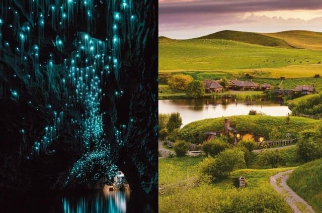 Hobbiton & Waitomo Caves Day Tour with Lunch from Auckland