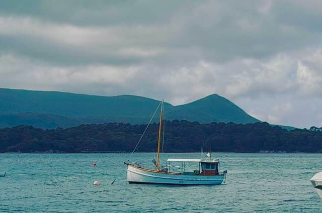 Hobart City Highlights and Scenic Lookouts Tour