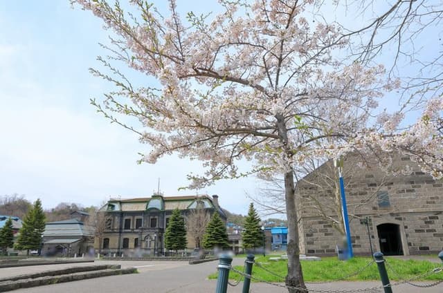 Private Customizable walking Tour in Otaru