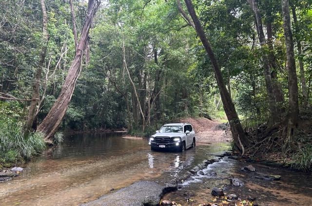 Cairns Rainforest & Waterfalls 4WD Half-Day Tour