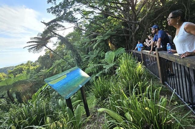 Cape Tribulation, Mossman Gorge and Daintree Rainforest Day Tour