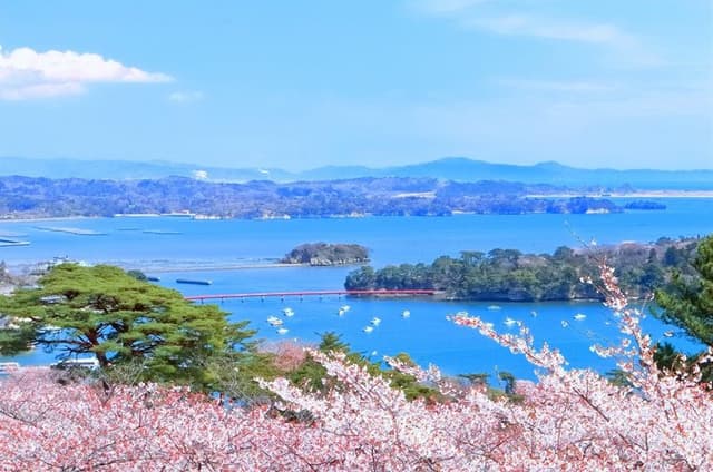 Matsushima Sightseeing Tour
