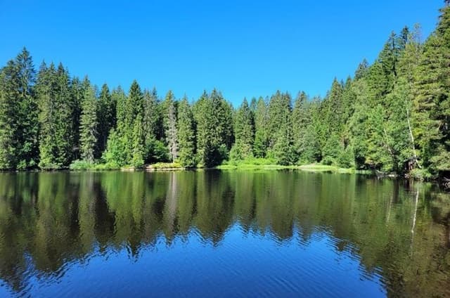 Black Forest Tour by Car from Baden Baden