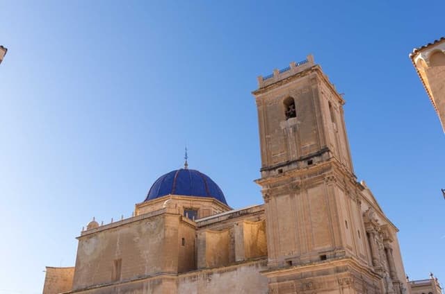 Cultural Tour of the Palmeral and Historic Center of Elche