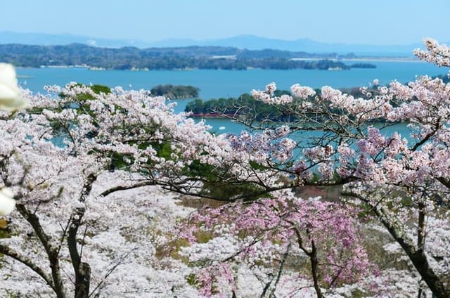 Day Trip Matsushima by Bullet Train from Tokyo