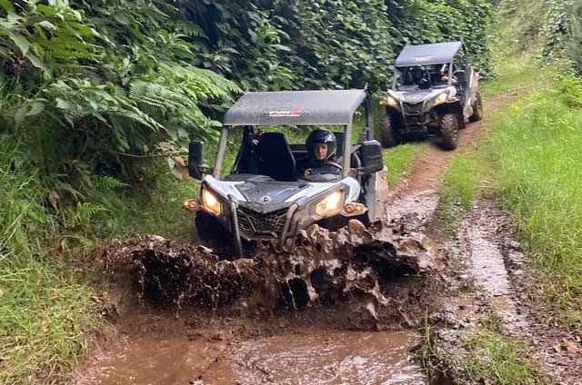 Off-Road Buggy Driving Experience