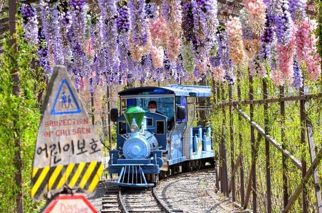 Nami Island Trip with Petite France & Italian Village and Gangchon Rail Bike