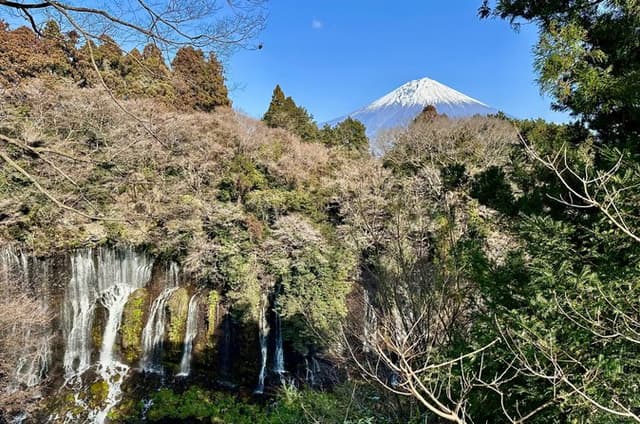 Fuji Highlights Group Car Tour by Shimizu Port with Local Guide