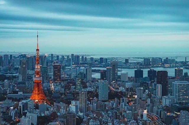 Private & Customizable Tokyo Tour (10 Hours) with English Driver