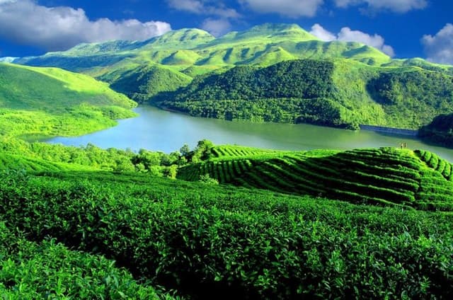 Private Guiyang Day Tour Qingyan Ancient Town and Qianling Park