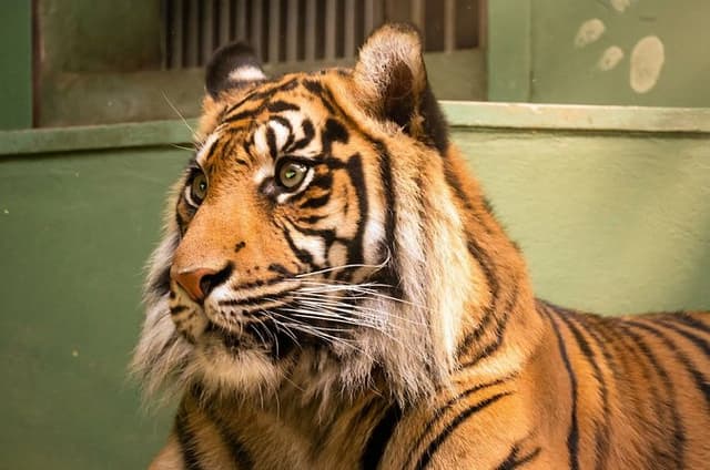 Prague Zoo Ticket with Online Audio Guide