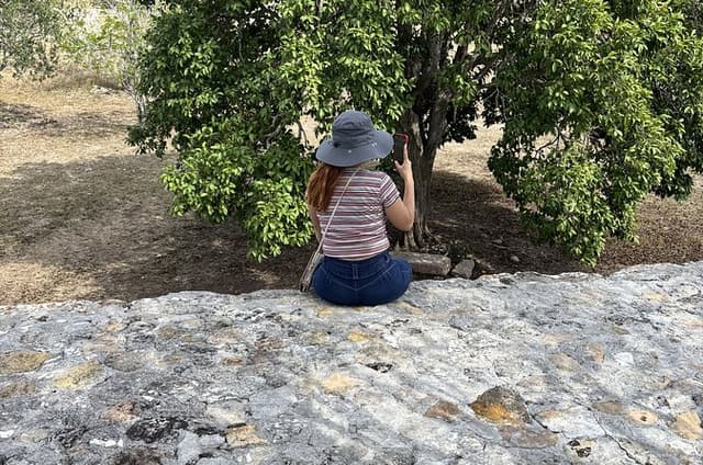 Private Guided Tour to Mayapán