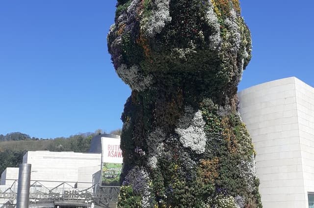 Stories of Women of Bilbao and the Guggenheim Night Tour