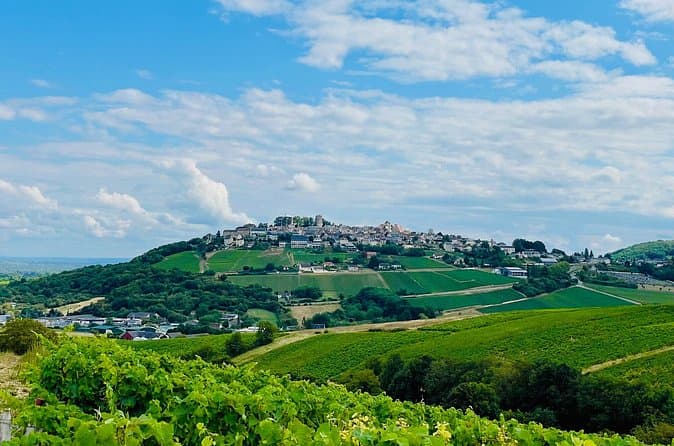 Best Sancerre Wine Tours from Paris