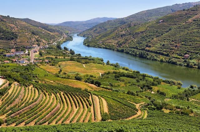 Douro Valley Day Tour with River Cruise, Winery Visit & Lunch