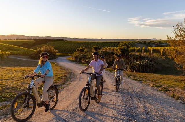 Morning Guided with Afternoon Self-Guided Biking Wine Tour