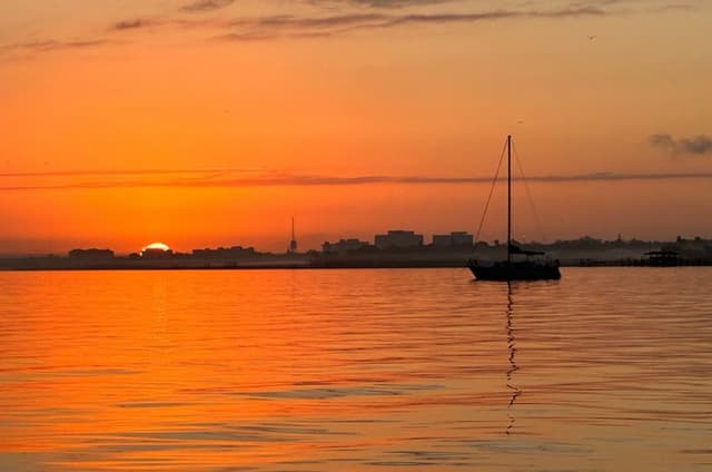 3 Hour Eco Tour Adventure: Sarasota Bay, Egmont Key & Fort DeSoto
