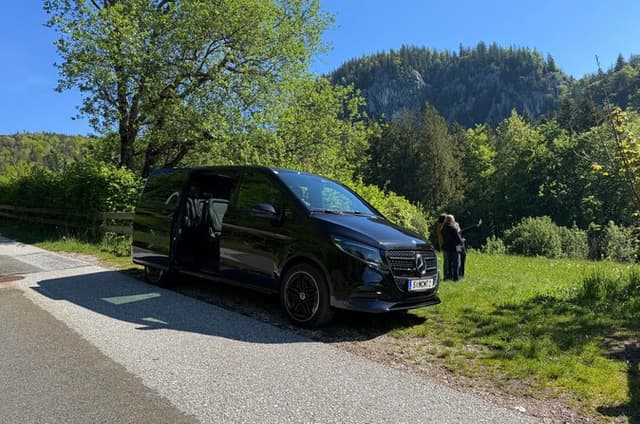 Private Transfer from Venice to Salzburg with Scenic Alpine Stops