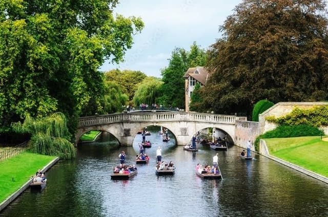 Private Cambridge Punting by University Students