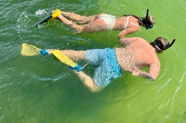 4 Hour Egmont Key Island Tour With Dolphins & Snorkeling Included