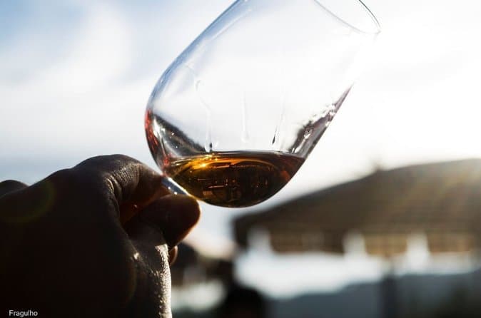Pinhão Douro Wine Tour: Tastings & River Views