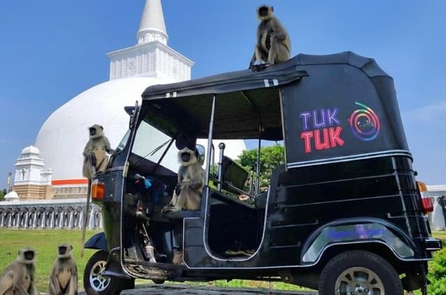 Anuradhapura: Tuk Tuk Tour at Ancient City with Audio Guide