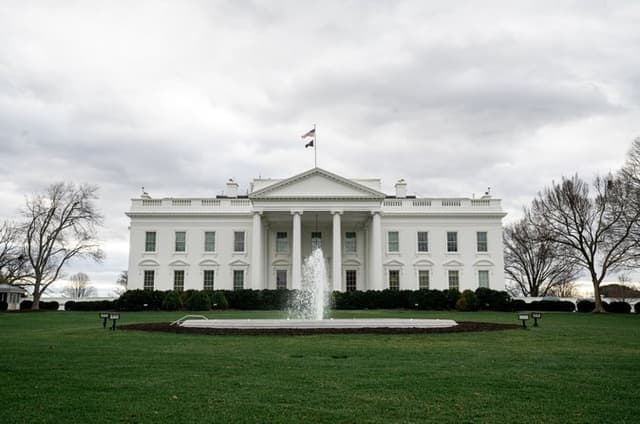 New York to Washington D.C.: History, Power and Lunch Included