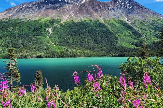 Private Skagway Tour Custom Full Day Charter For Up To 20 People