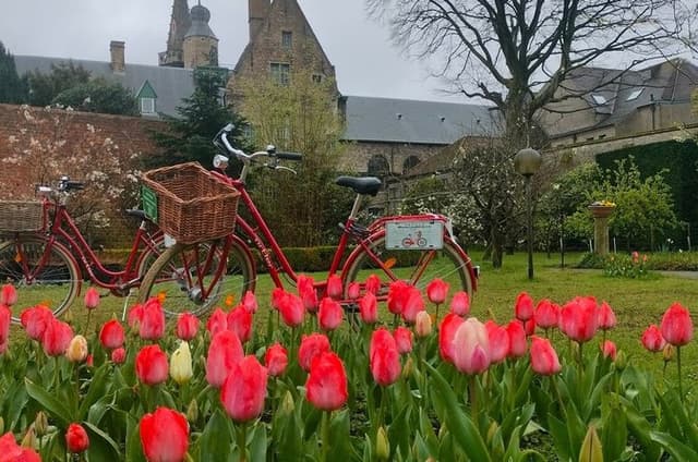 Bruges Sunset Retro Bike Tour: Family Sculptures & Hidden Art
