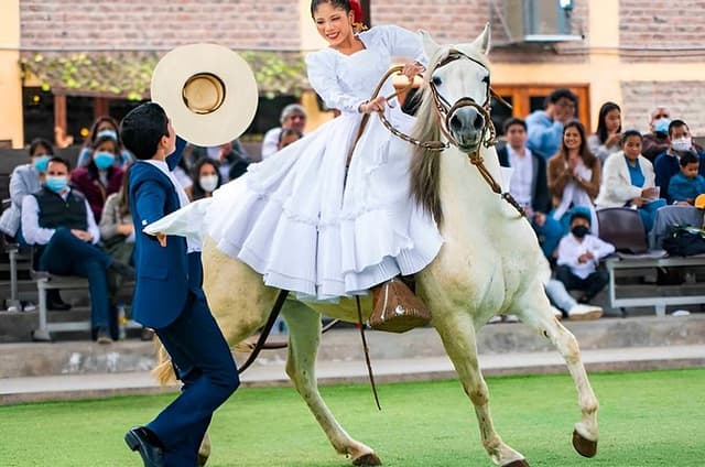 Lunch Show - Exhibition of Peruvian Horse with Pick up & drop off