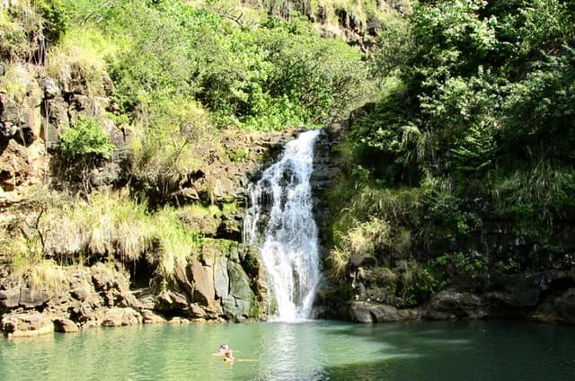 Oahu North Shore Fun: Waimea Waterfall & Turtle Snorkeling incl.