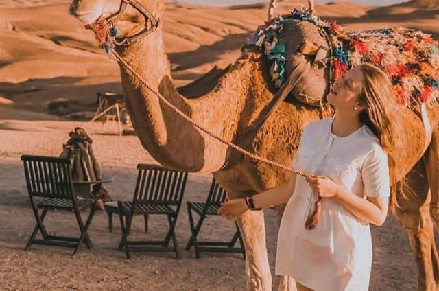 Agafay Desert Dinner & Camel Ride from Marrakech