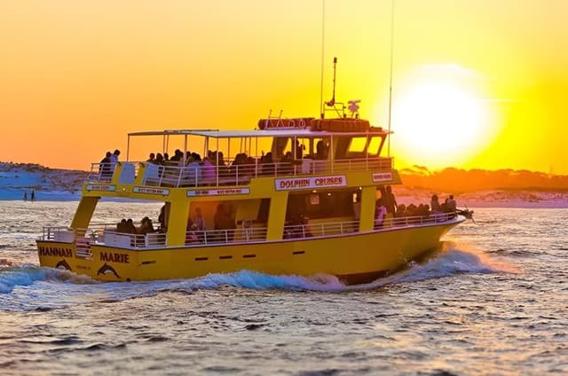 Dolphin & Sunset Cruises
