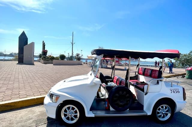 Mazatlan Pulmonia Experience