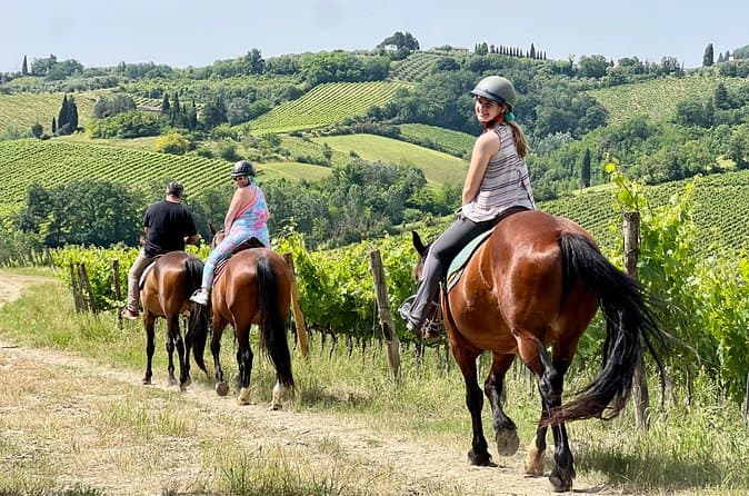 Best San Gimignano Wine Tours from Florence