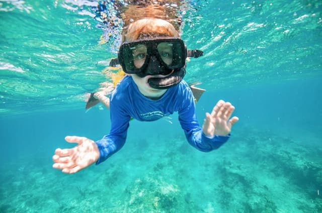 Morning Half Day Cruise from Providenciales with Snorkeling and Iguana Island