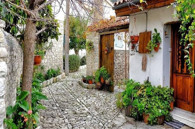 Troodos Olympus Mountains Olive Oil and Laneia Village